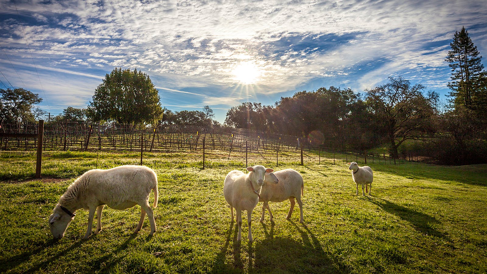 Insider Weekly: April 12 Edition