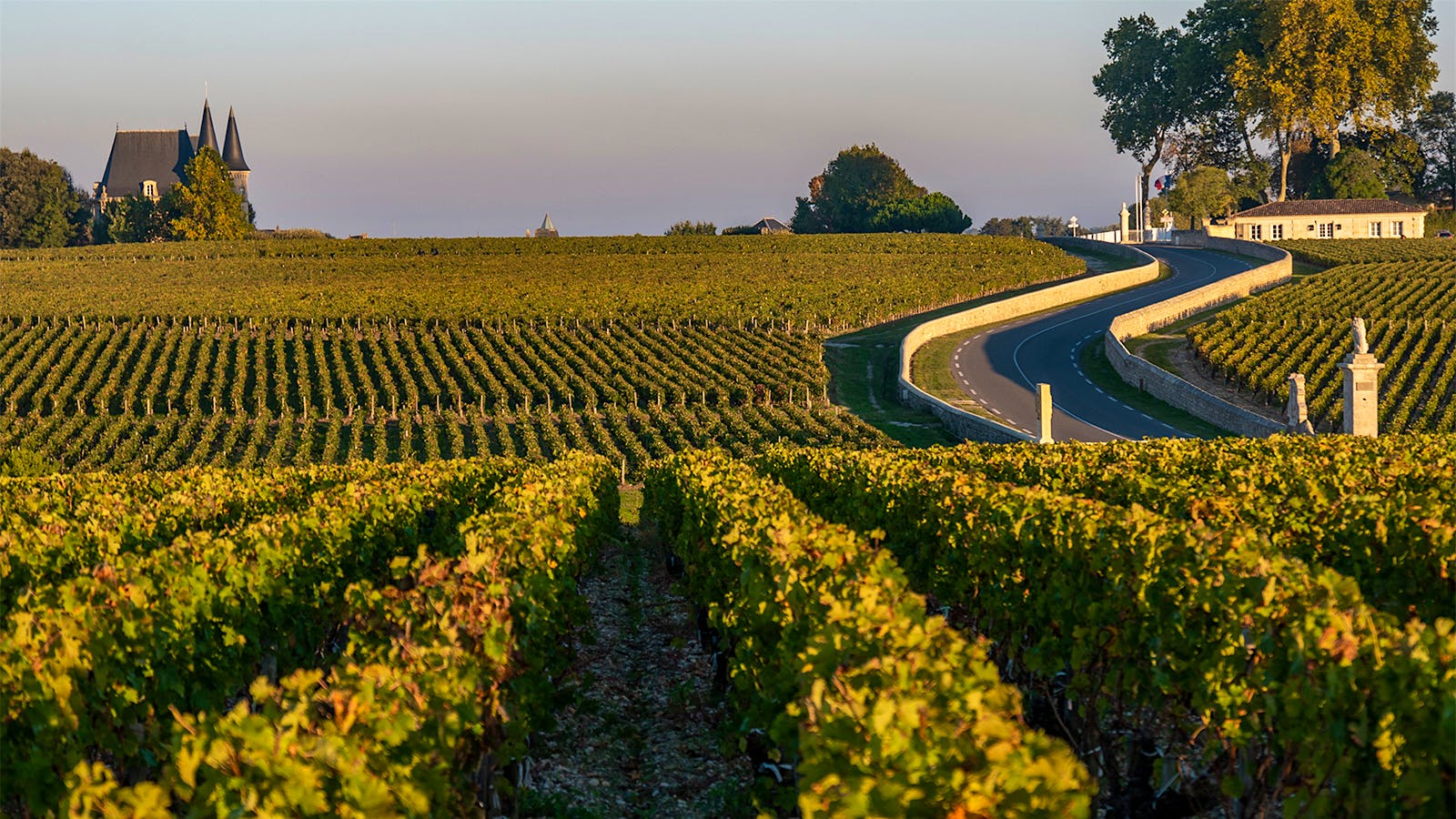 Quiz: Bet on Bordeaux