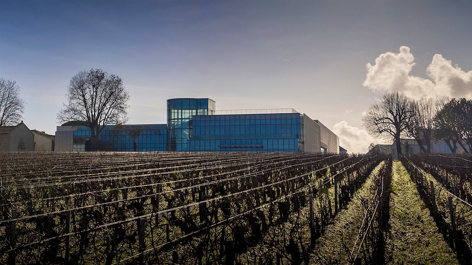 Château Lynch Bages in Bordeaux's Pauillac region