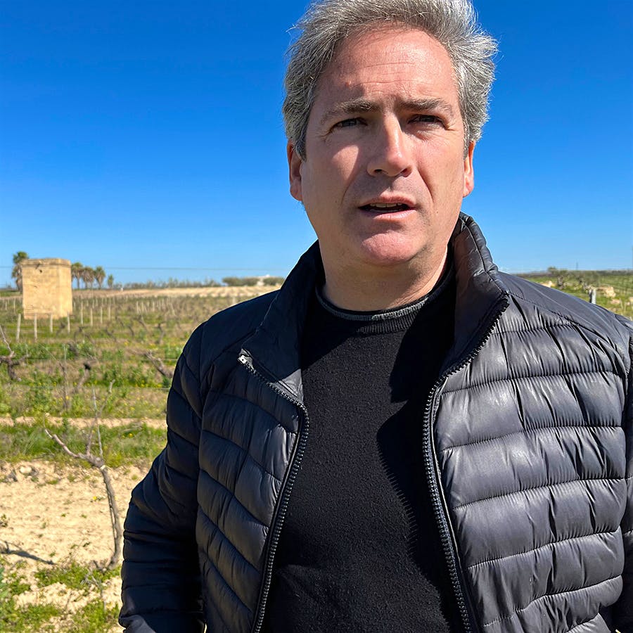 In the Samperi vineyard, the De Bartolis replanted entirely to Grillo, believing it made the highest-quality white wines in western Sicily. Today, Renato De Bartoli continues to use it for the winery's Marsalas and a range of other wines.