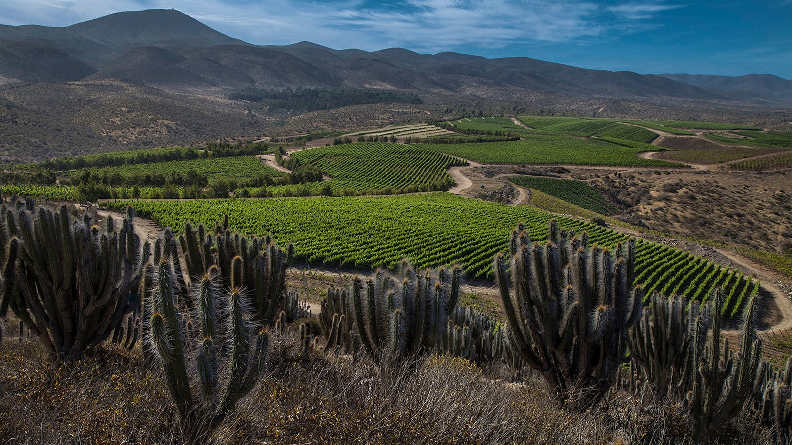 Chile's Limari parcels] 