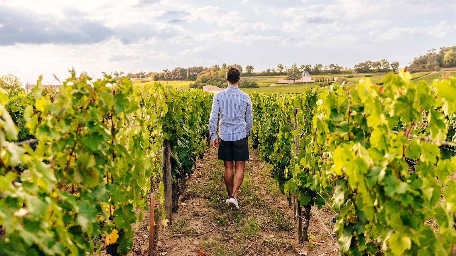 Sommelier Roundtable: What’s Your Bucket List Wine Region?