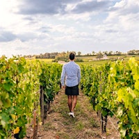 Have your passports ready! Wine pros want to wander the globe, from Slovenia to South Africa, to explore its breadth of grape varieties and wine styles.What’s Your Bucket List Wine Region?