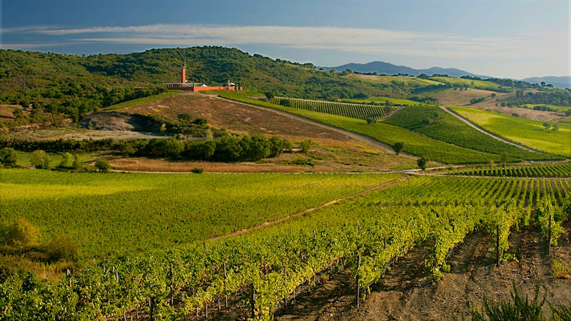 10 Glorious Tuscan Wines Up to 92 Points