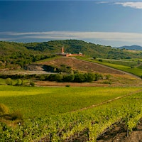 Several grape varieties grow on the Rocca di Frassinello estate in Tuscany's Maremma subregion.10 Glorious Tuscan Wines Up to 92 Points