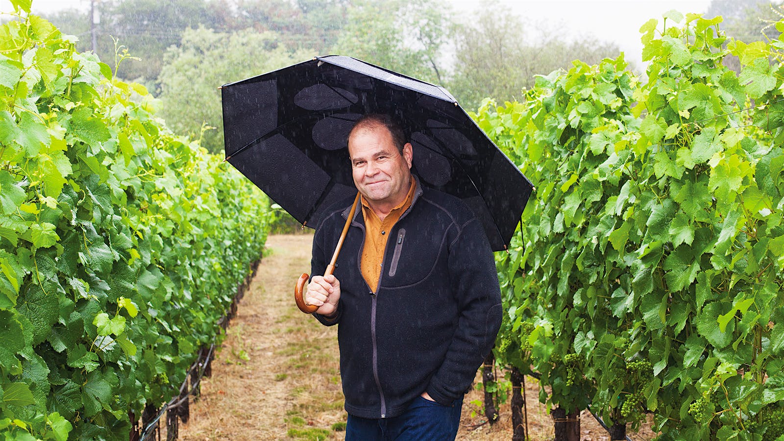 Patz & Hall winery's James Hall smiles and holds an umbrella on a rainy day at Burnside Vineyard in Sonoma's Russian River Valley.