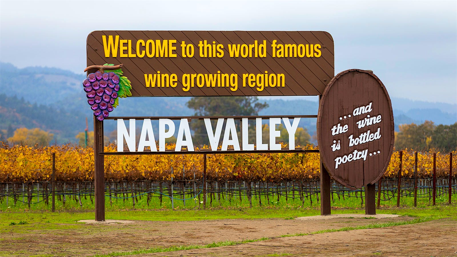 Napa Knowledge, Sonoma Skill: A Northern California Quiz