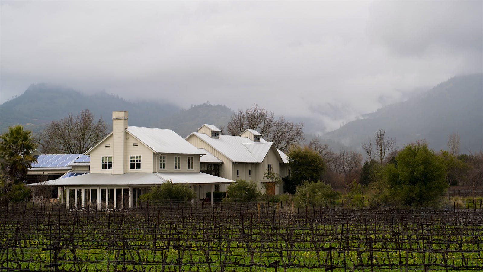 Larkmead Vineyards represents more than 100 acres in Napa Valley's Calistoga AVA.