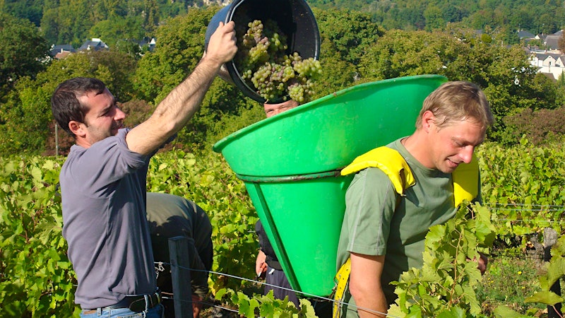 9 Lovely Loire Wines Up to 92 Points