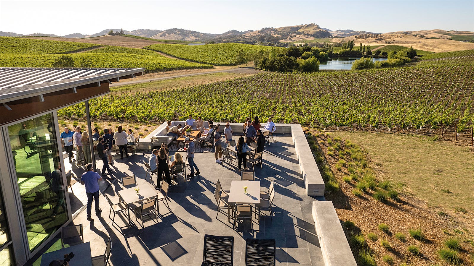 Cuvaison winery and vineyards in California's Napa Valley