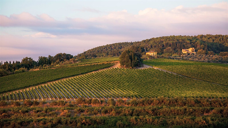 8 Outstanding Tuscan Reds Up to 92 Points