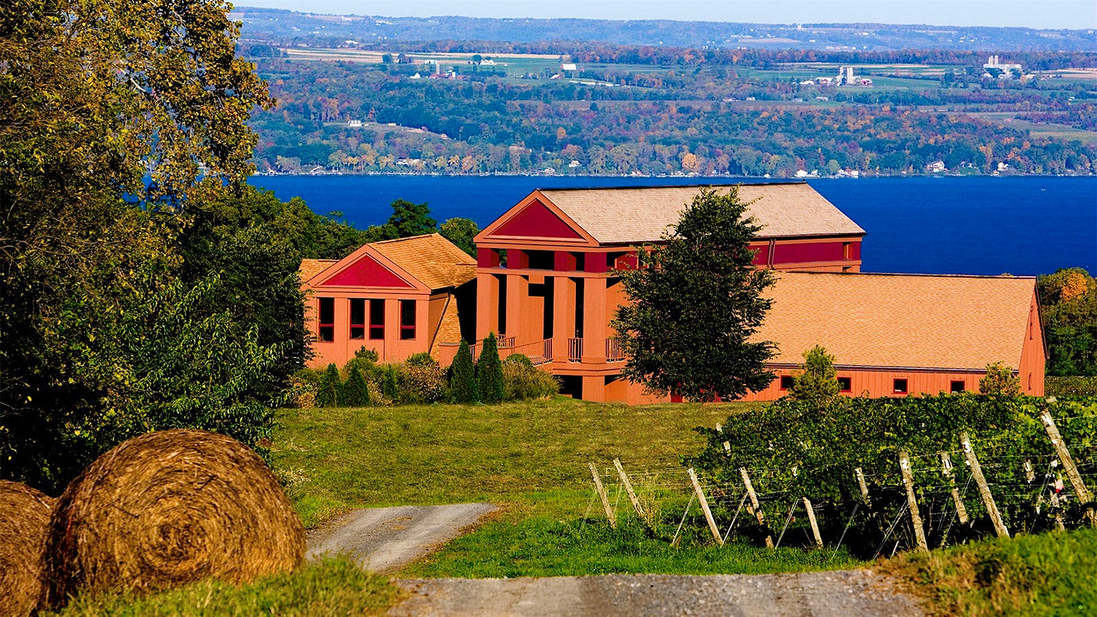 Tasting Highlights 10 Glorious Global Chardonnay Wines Up to 92 Points