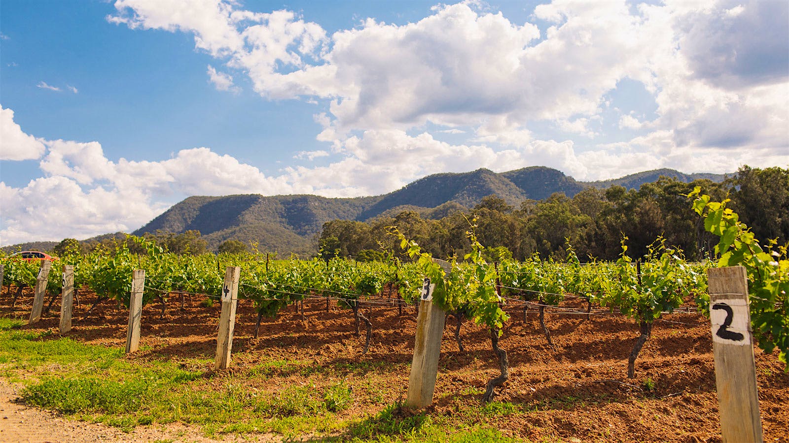 Tasting Highlights 10 Remarkable Australian Wines for 2023, Priced