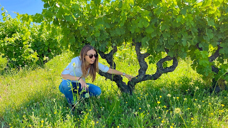 Sardinia’s Wild Heart