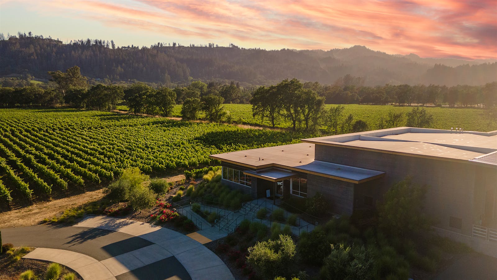 Titus Vineyards and winery at sunset in Napa Valley's St. Helena AVA