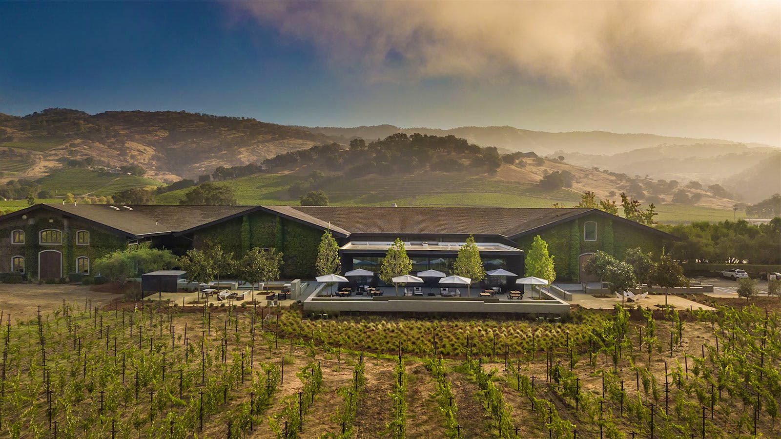 We Just Reviewed 7 Outstanding Napa Wines Scoring 90 Points or