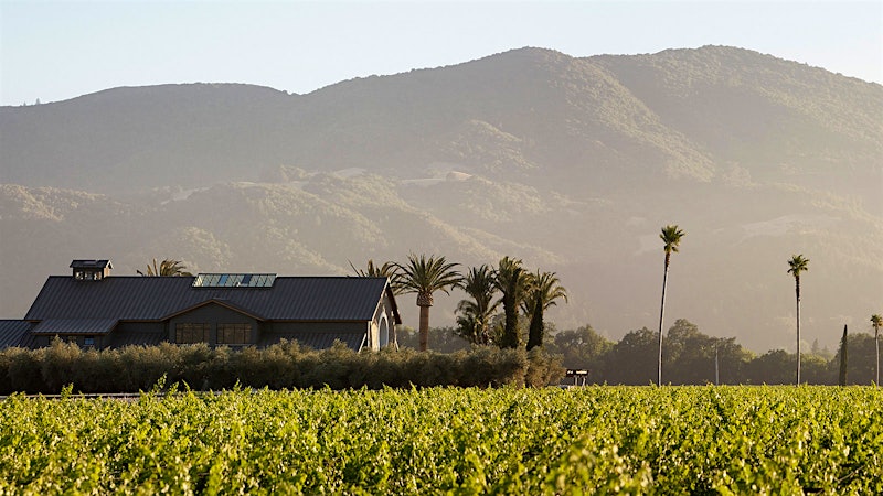 8 Extraordinary California Sauvignon Blancs at 90+ Points