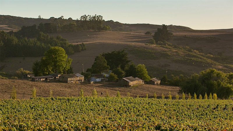 10 Outstanding California Pinot Noirs at $50 or Less