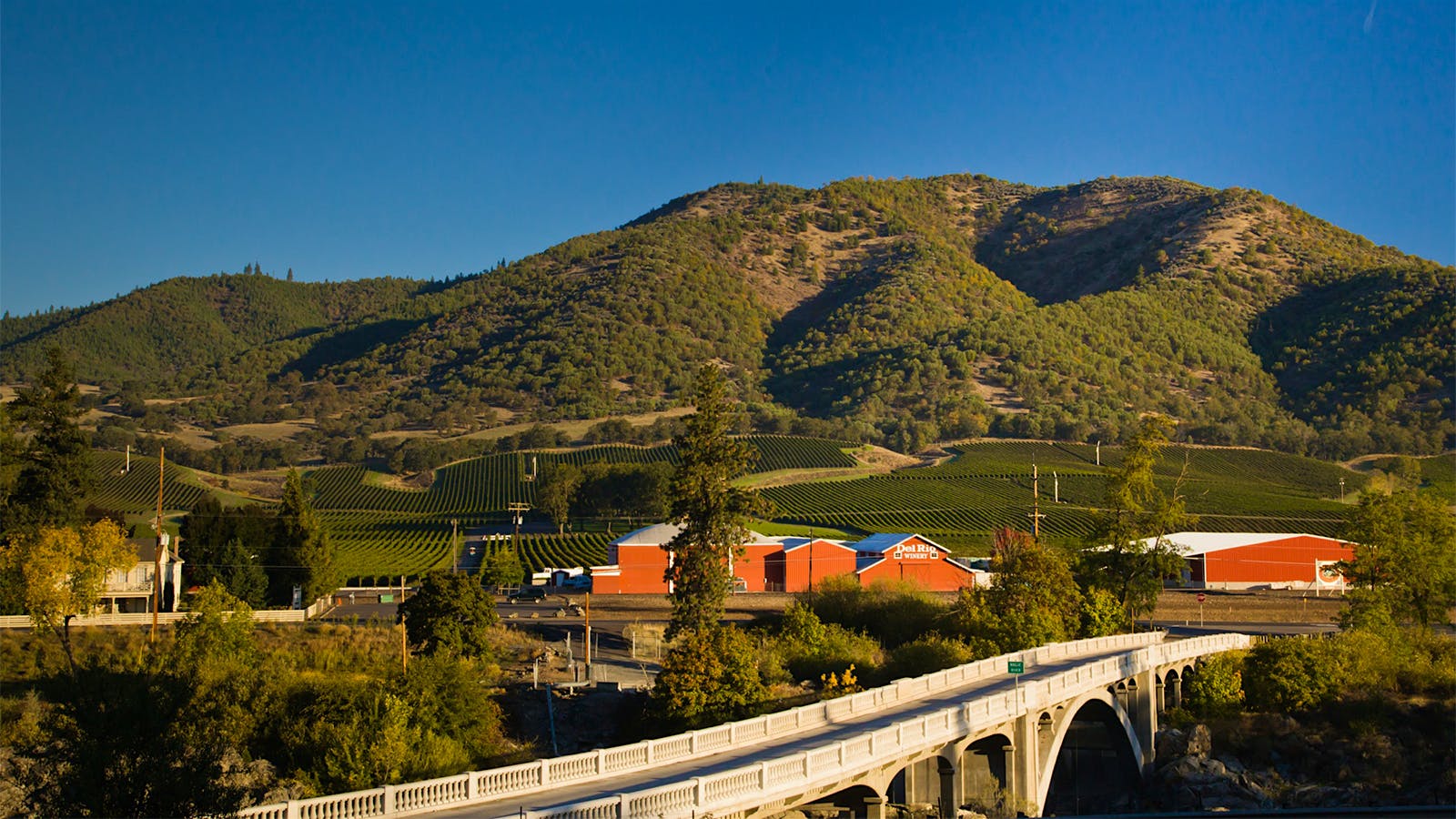 Del Rio's vineyards and copper-colored facilities in Rogue Valley, Oregon