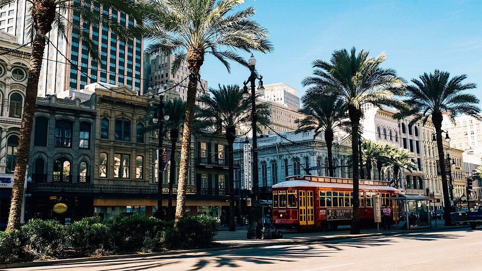 A palm tree-lined New Orleans street, with a street trolley.