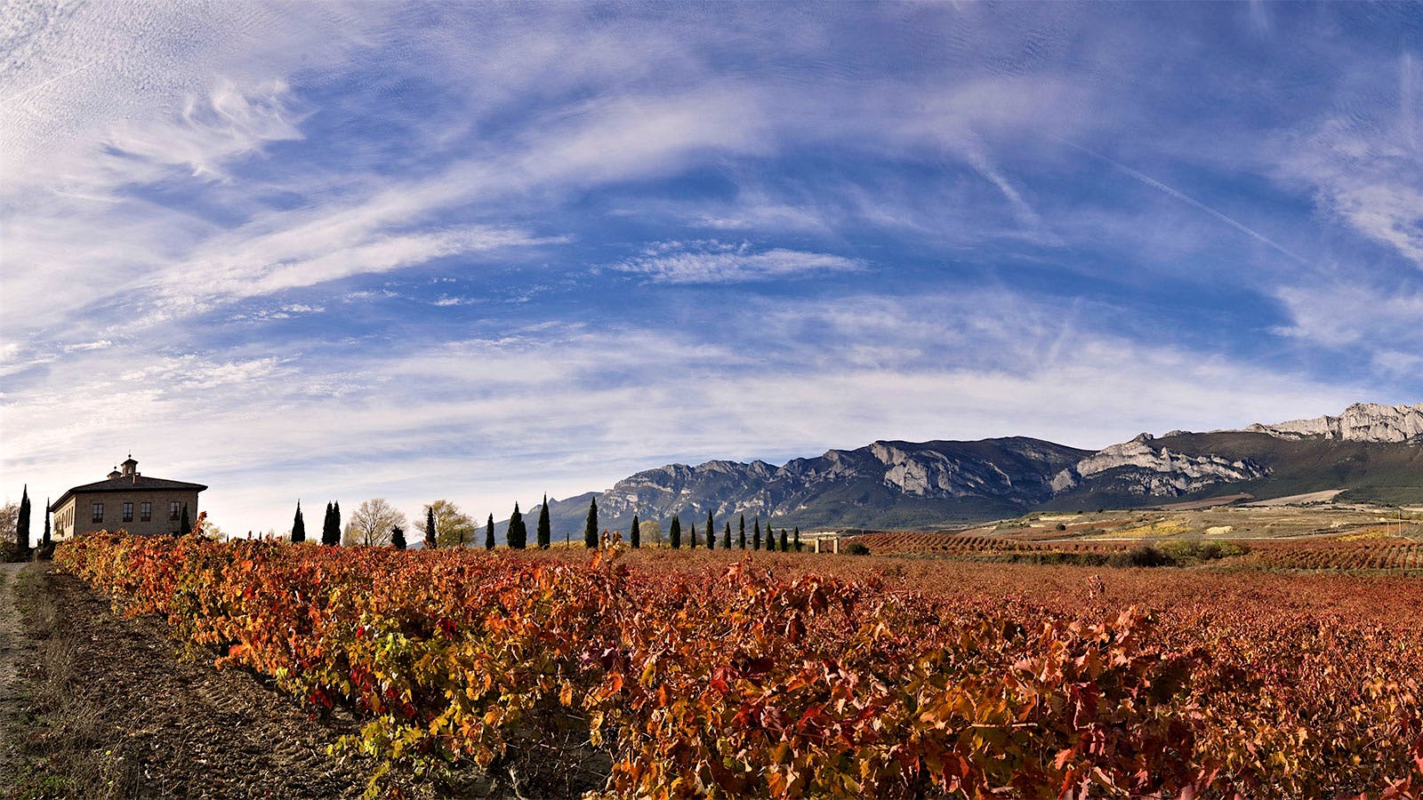 Vineyards and a building of Bodega Torre de Oña in Rioja, Spain