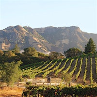 Carol Shelton's vineyards in California. Photo credit: Carol Shelton95-Point Washington Syrah; Classic Burgundy and Madeira