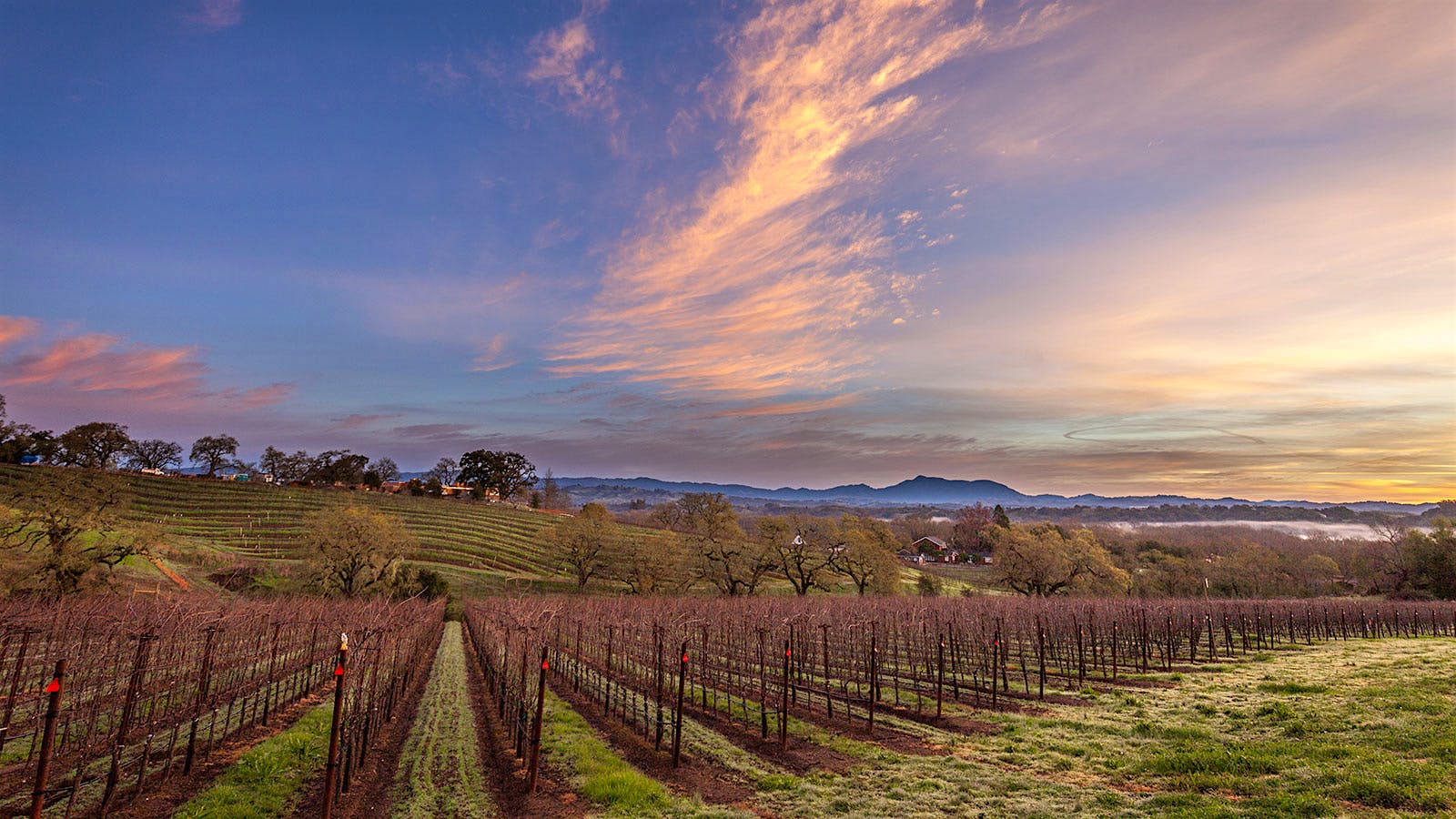 Insider Weekly: May 29 Edition