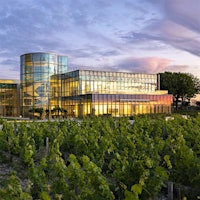 Château Lynch Bages in Pauillac is among the elite historic estates with a new modern winemaking facility.Pauillac Power Buy: A Bordeaux Bargain at Haut-Batailley