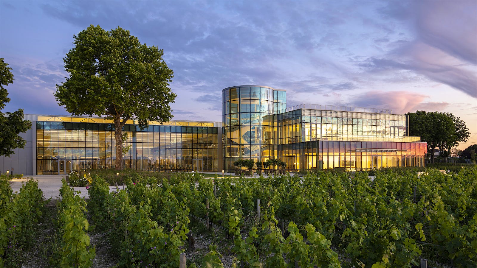 Château Lynch Bages's modern winery in Bordeaux