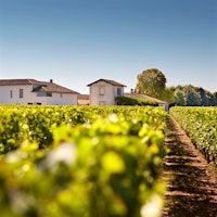 Château Petit-Village has a new winemaking facility and a very old parcel of Cabernet vines.Big Changes in Little Pomerol at Petit-Village