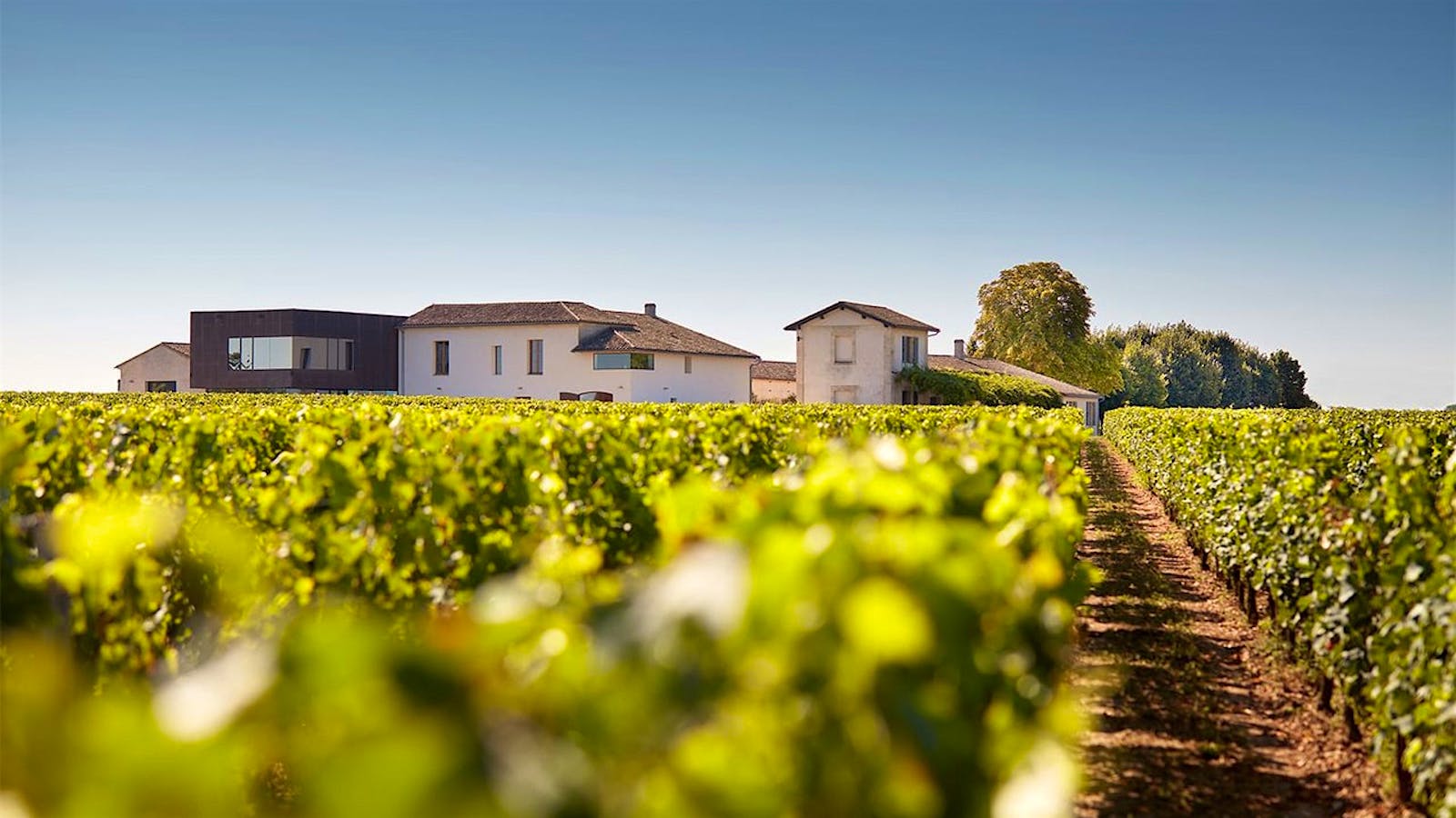 Château Petit-Village and vineyards in Bordeaux's Pomerol region