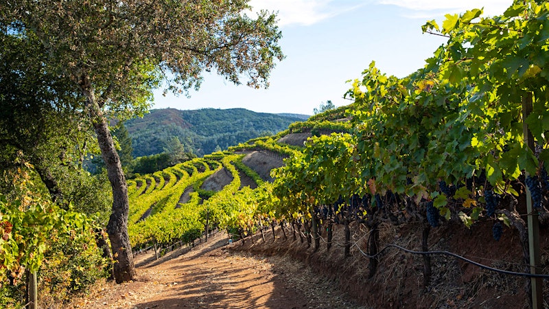 8 Impressive California Zinfandels at 90+ Points