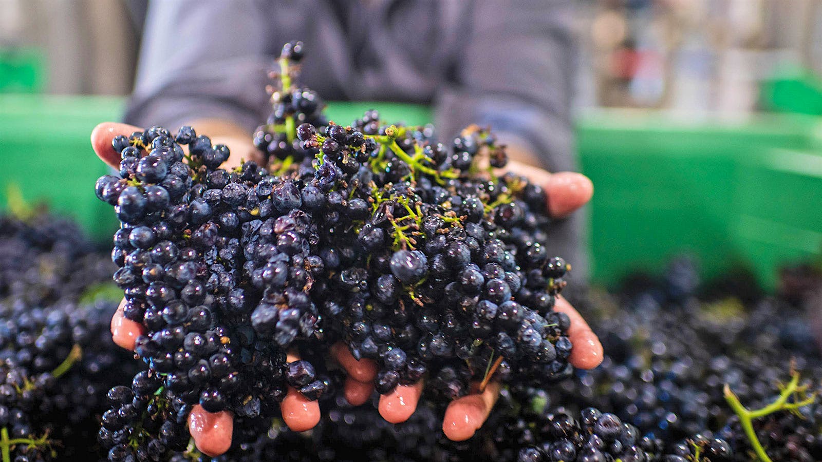 Insider Weekly: July 10 Edition