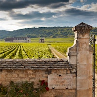 Burgundy's Domaine Jacques Prieur experienced one of its warmest vintages ever in 2022.2022 Burgundy Vintage Preview: Quality and Quantity