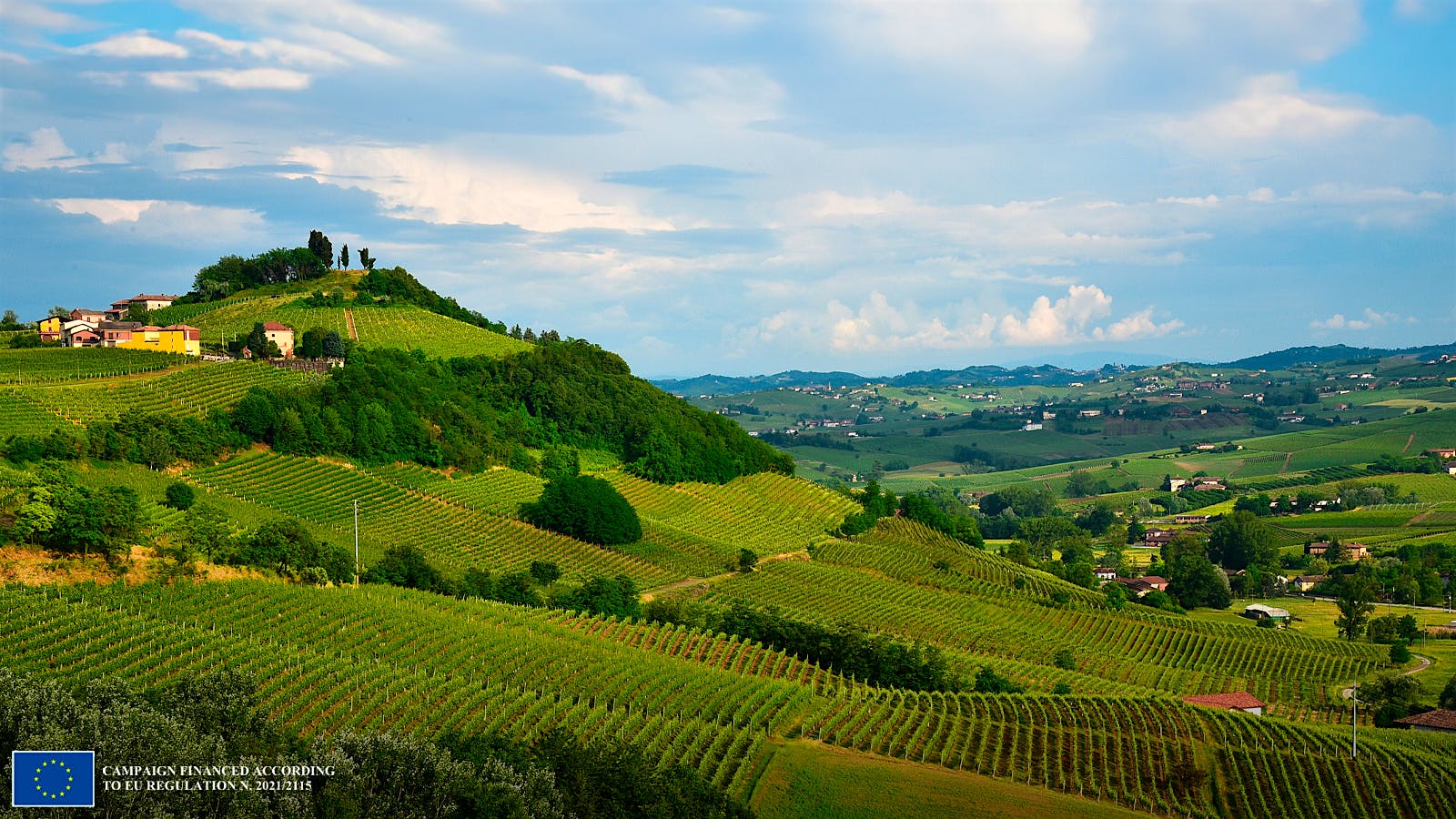 Consorzio Barbera D’asti E Vini Del Monferrato