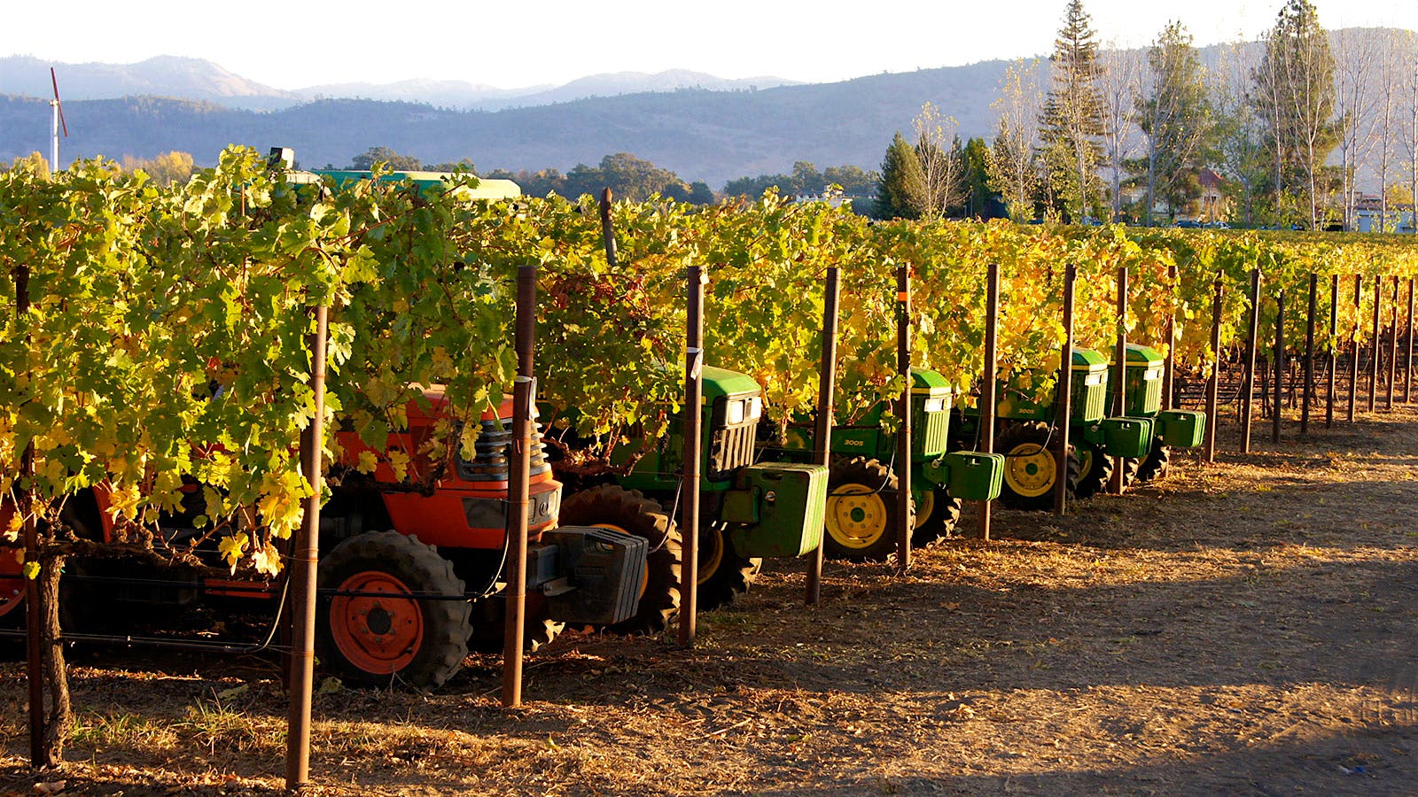 Insider Weekly: Aug. 7 Edition