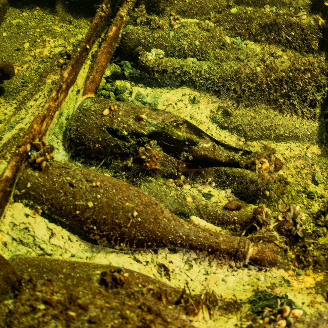 Could these 19th-century sparkling wine bottles have come from one of France's most prestigious Champagne houses?