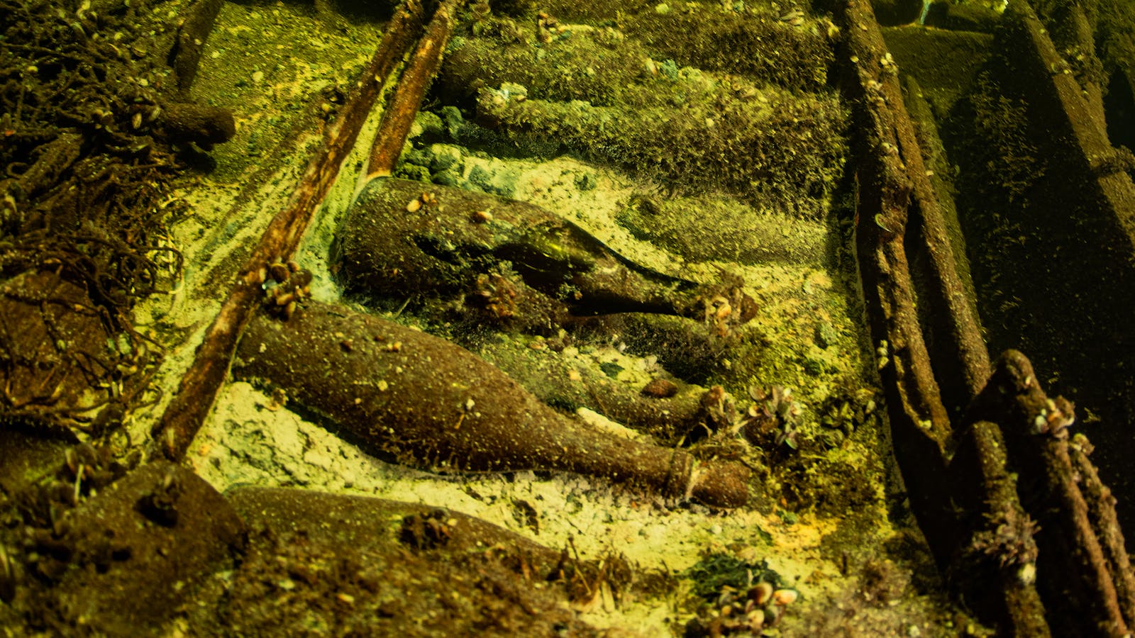 19th-century sparkling wine bottles in a shipwreck in the Baltic Sea