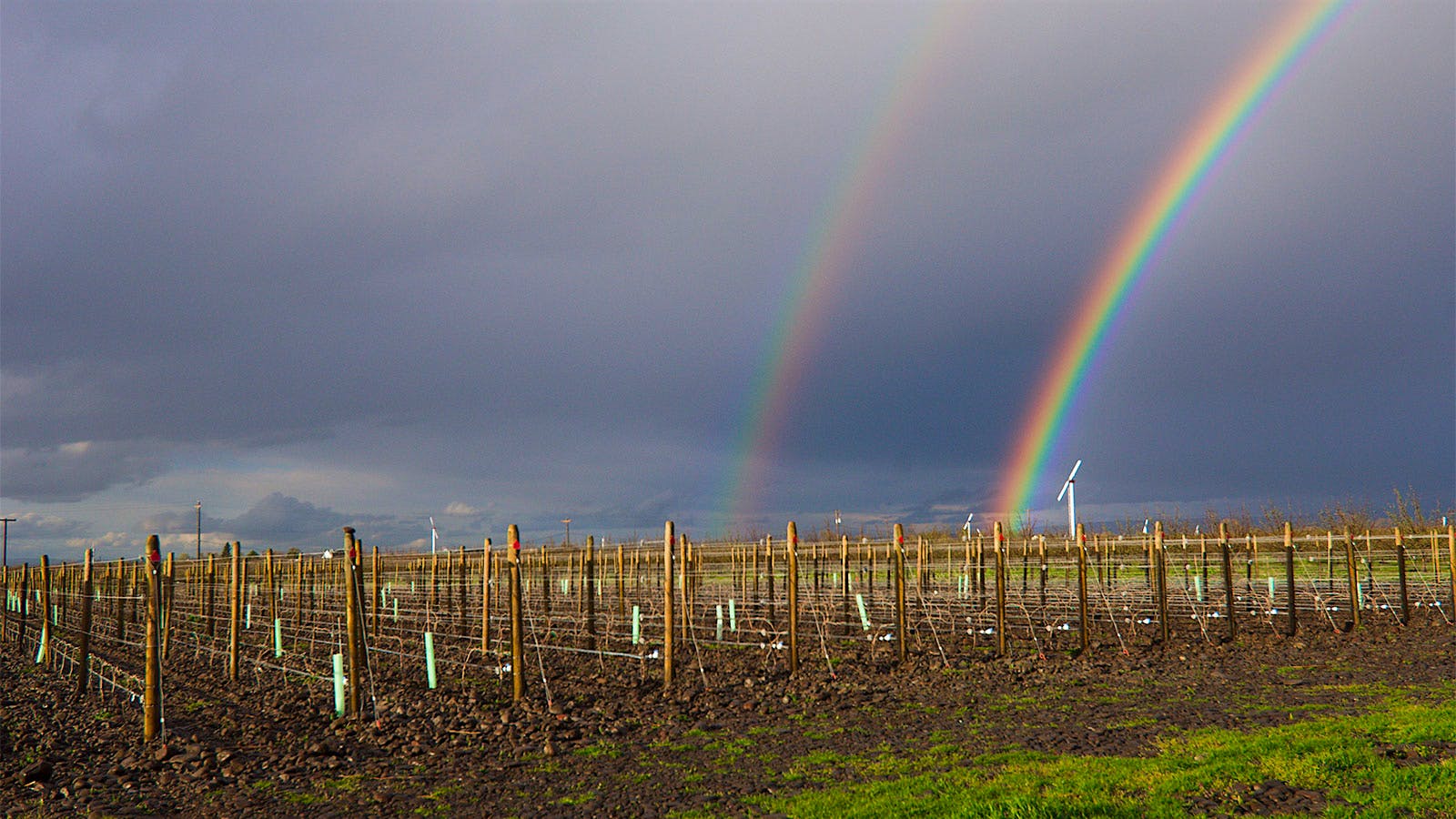 Insider Weekly: Aug. 21 Edition