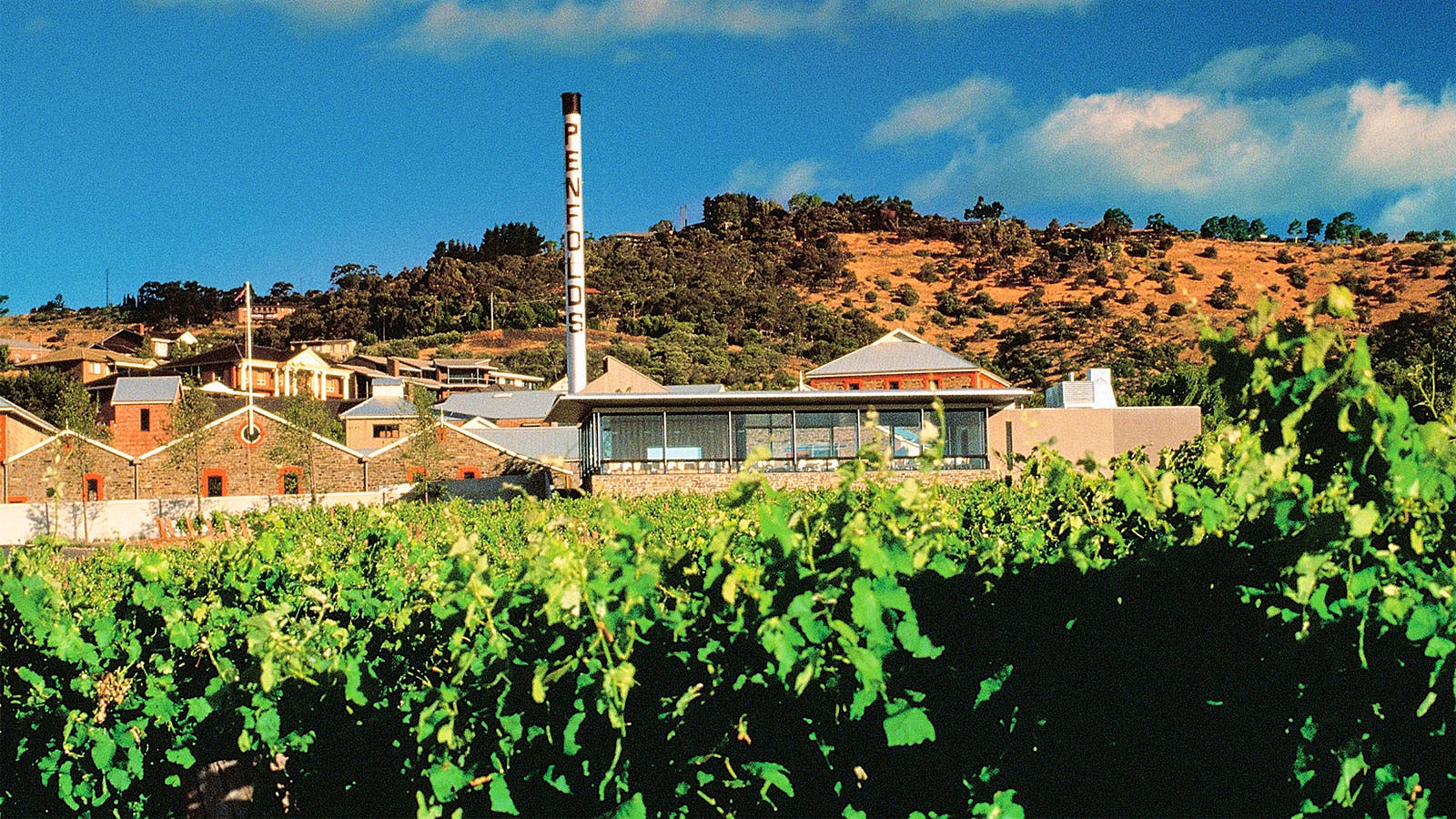 Vineyards and the primary buildings of Penfolds in Australia, including a smokestack with the word "Penfolds" written upon it