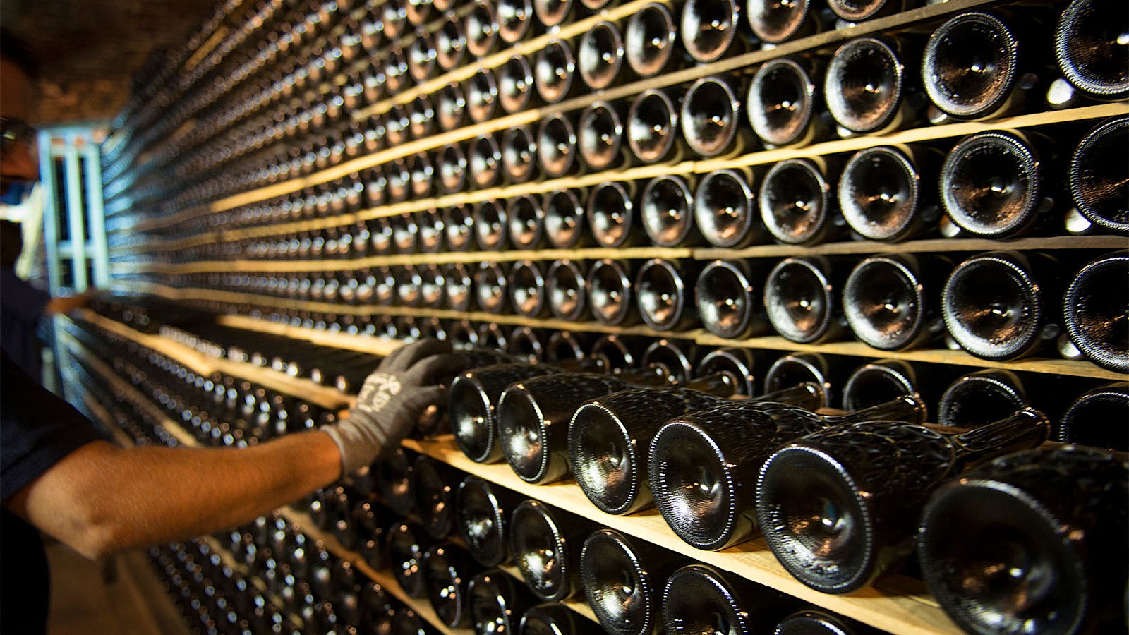 A winery worker placing bottles of Cava in the cellars of Juvé y Camps in Spain