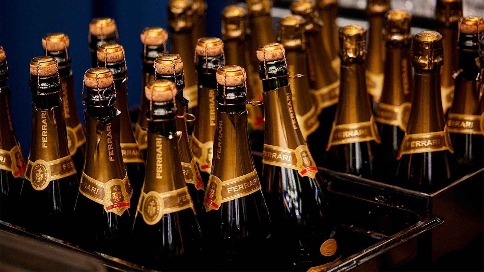 Bottles of Ferrari Brut Trento Perlé 2017 sparkling wine