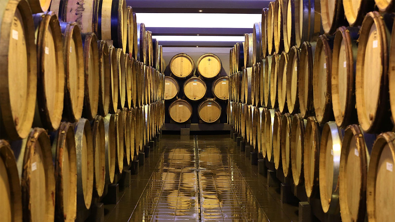 A room of barrels at Maison Tardieu-Laurent in France's Rhône Valley