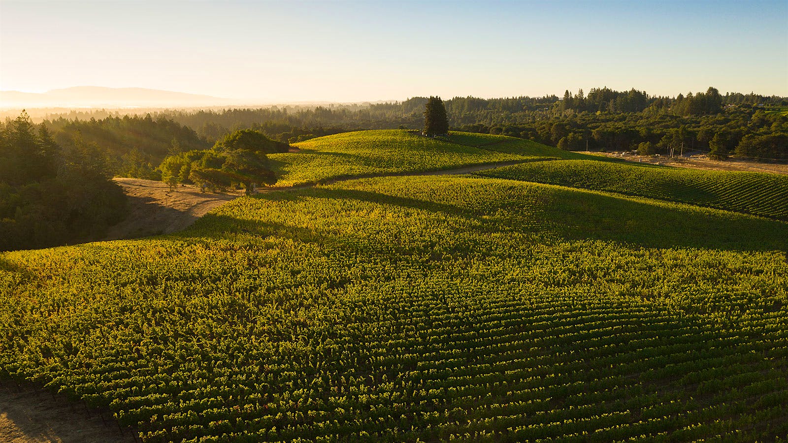 December 31, 2024 - January 15, 2025