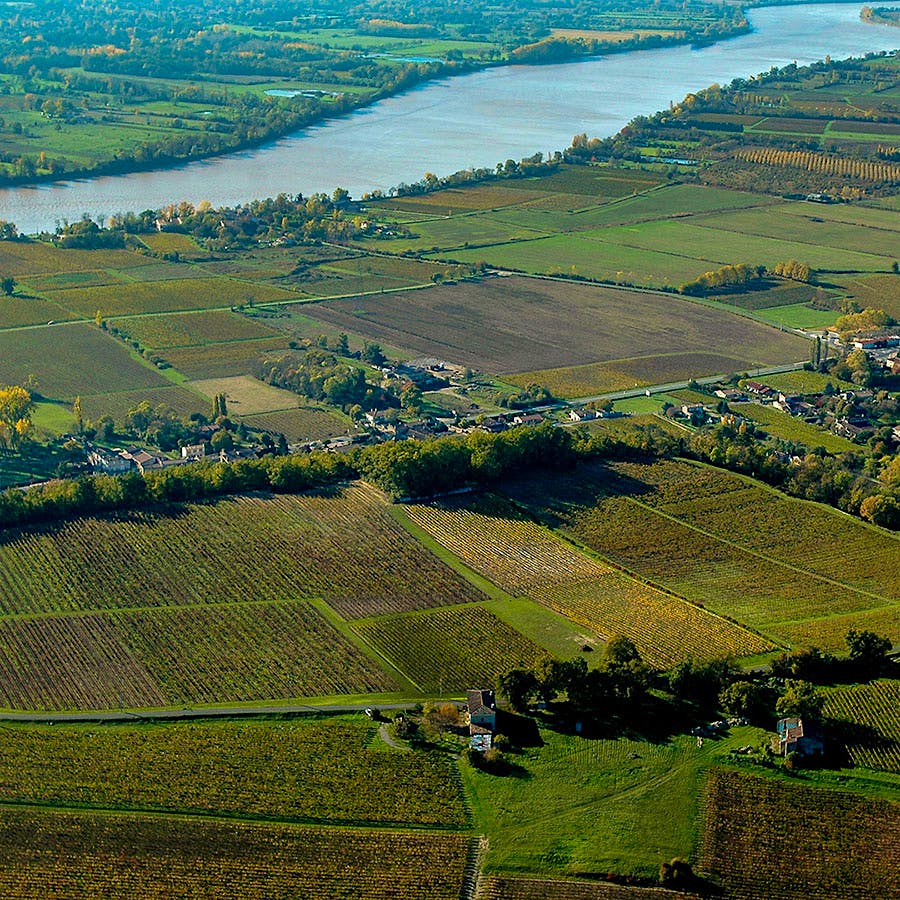 The commune of Fronsac is a source of delicious reds from Bordeaux's 2022 vintage.