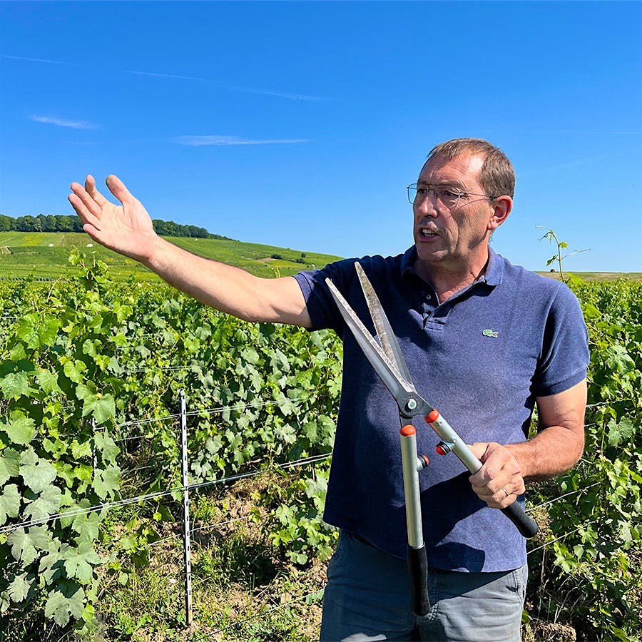 Though his parents focused on elegant Champagnes, when Pierre Larmandier took over, he wanted to make sparkling wines that strongly expressed their <i>terroir</i>.