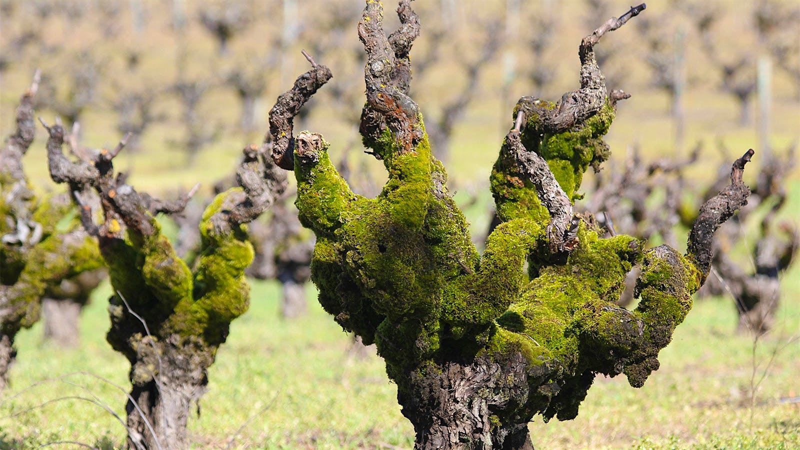 Insider Weekly: Jan. 15 Edition