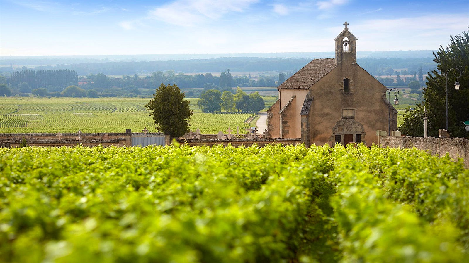 Insider Weekly: Feb. 5 Edition