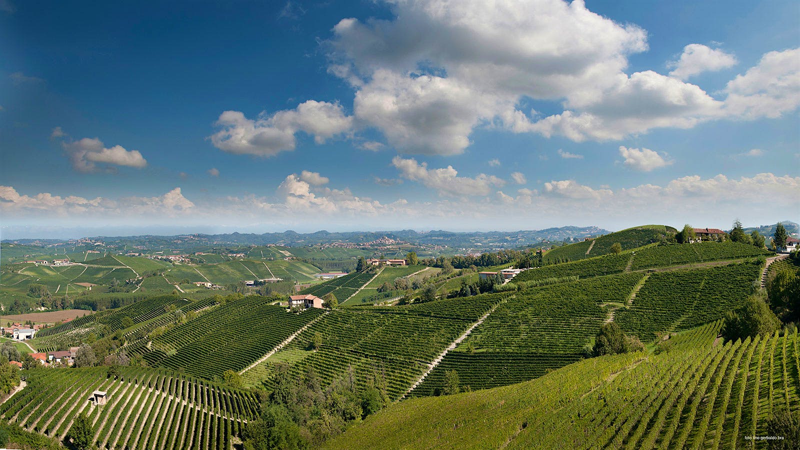 Insider Weekly: Jan. 29 Edition