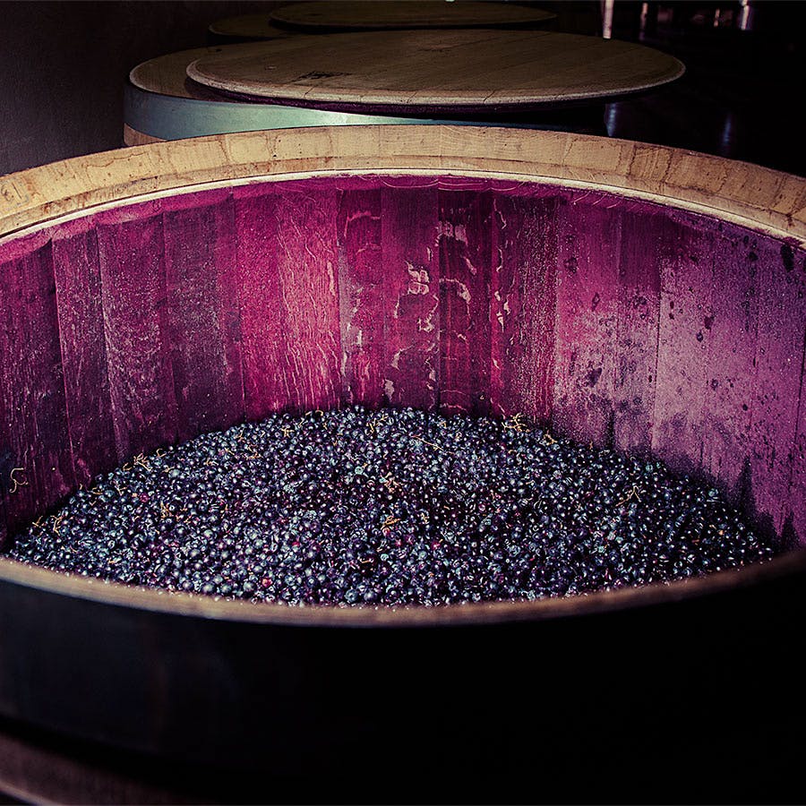 The late Enrique Forner founded celebrated Rioja winery Bodegas Marqués de Cáceres in 1970.